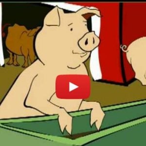 Factory Farming Video – Funny But Profound